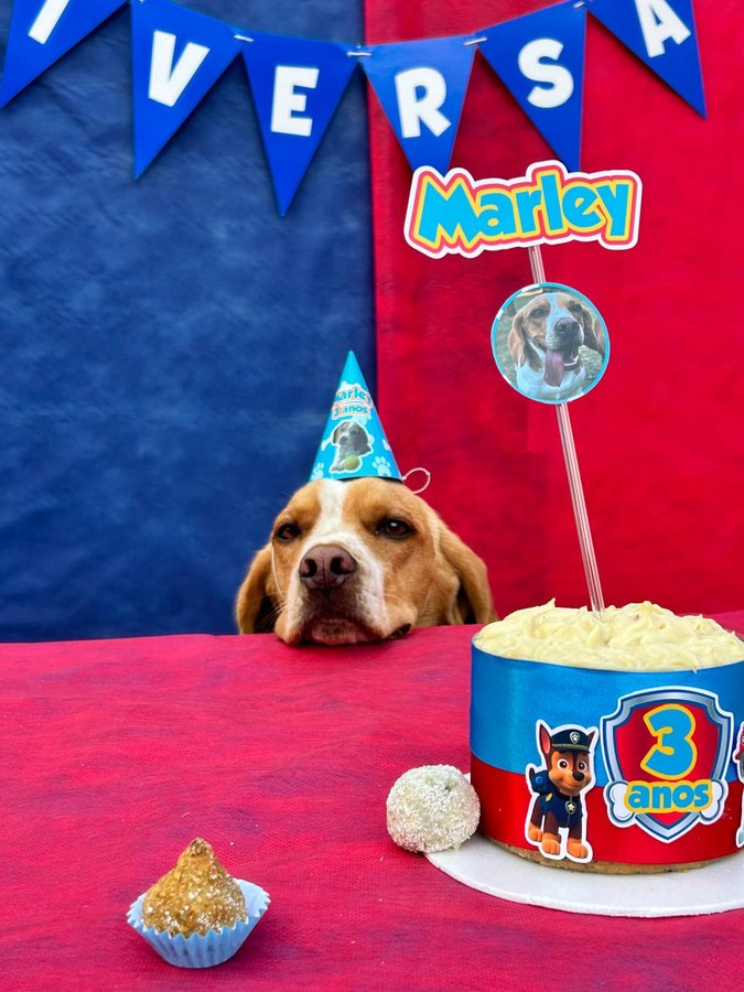 Beagle de chapéu de festa atrás do bolo azul e vermelho de tema Patrulha Canina, com o topo escrito “Marley” e a faixa “3 anos”