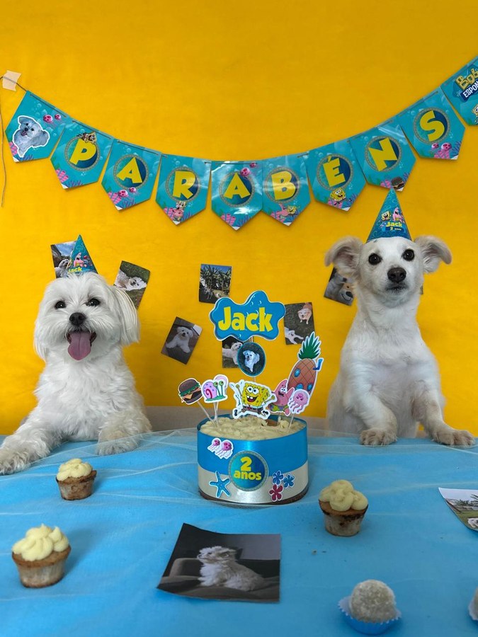 Dois cães brancos de chapéu de festa apoiados na mesa azul do aniversário de 2 anos do Jack, com a parede amarela decorada
