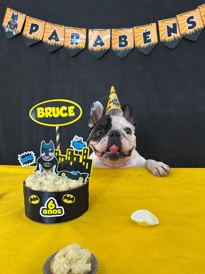 Bulldog francês de língua de fora e chapéu de festa atrás do bolo preto e amarelo de tema Batman, com o topo escrito “Bruce” e a faixa “6 anos”