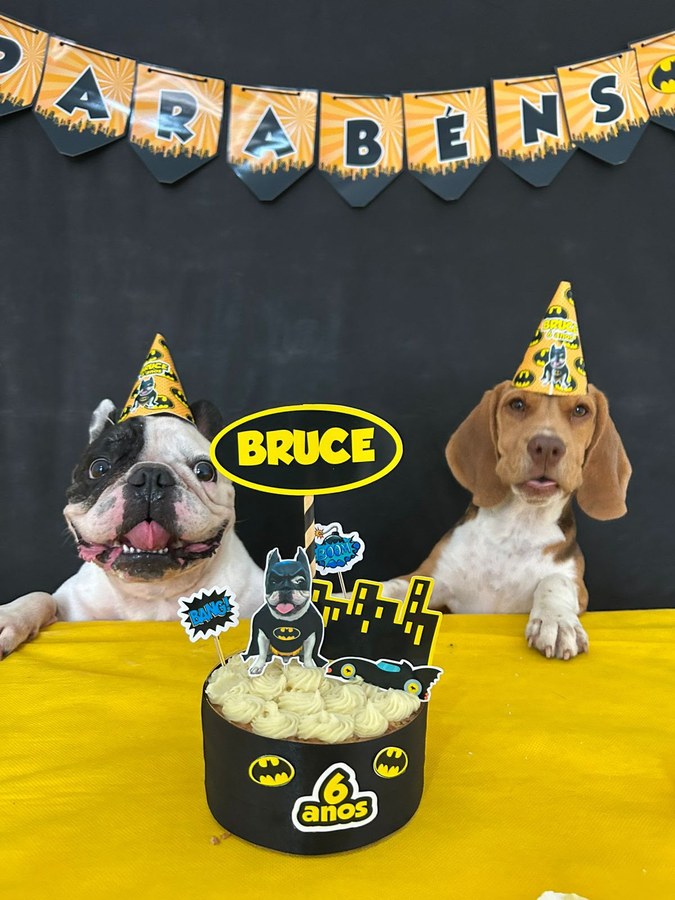 Bulldog francês e beagle de chapéu de festa atrás do bolo de tema Batman do aniversário de 6 anos do Bruce