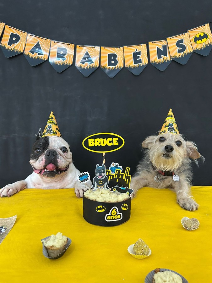 Bulldog francês e um cão de pelo comprido, os dois de chapéu, na mesa amarela da festa de tema Batman