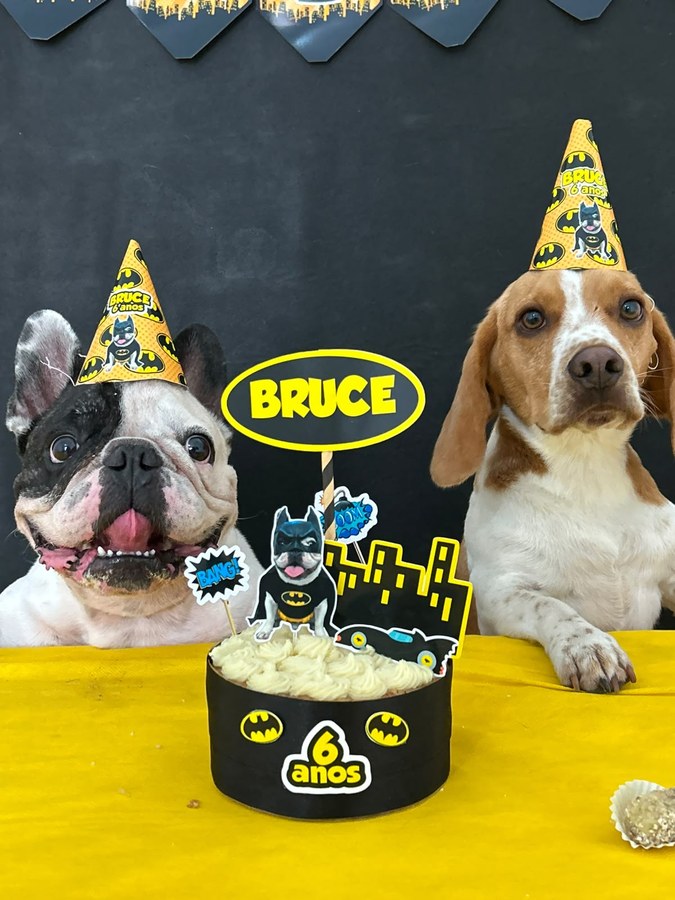 Bulldog francês e beagle de chapéu amarelo diante do bolo do Bruce, com a faixa preta e dourada de “Parabéns” ao fundo
