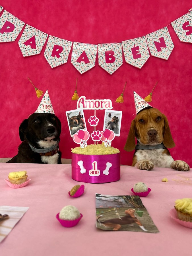 Cão preto e beagle de chapéu rosa na mesa da festa de 1 ano da Amora, com doces espalhados e bandeirolas ao fundo